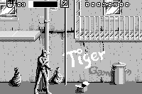 Batman & Robin abandonware
