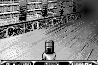 Duke Nukem 3D 11