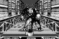 Duke Nukem 3D abandonware