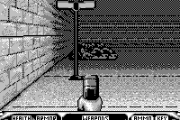 Duke Nukem 3D 15