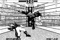 Fighters Megamix 11
