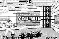 Fighters Megamix 15