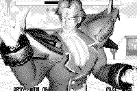 Fighters Megamix 16