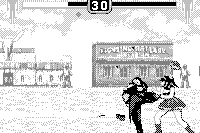 Fighters Megamix 21