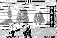 Fighters Megamix 29