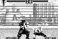 Fighters Megamix 31