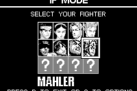 Fighters Megamix 5