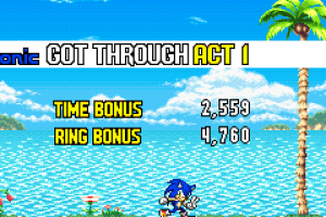 Sonic Advance 3